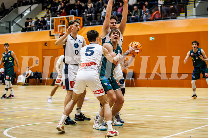 Basketball, Basketball Zweite Liga 2024/25, Grunddurchgang 12.Runde, Vienna Timberwolves, Dornbirn Lions, Jakob Konzet (5), Davids Grinbergs (11)