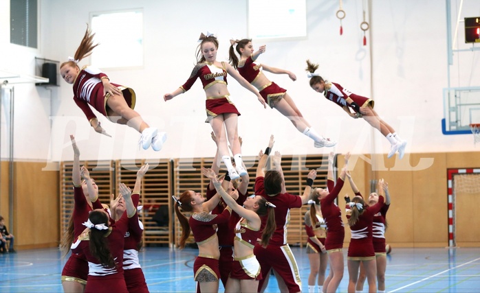 Basketball 2.Bundesliga 2018/19, Grunddurchgang 12.Runde Union Deutsch Wagram Alligators vs. BBC Dragonz Nord


