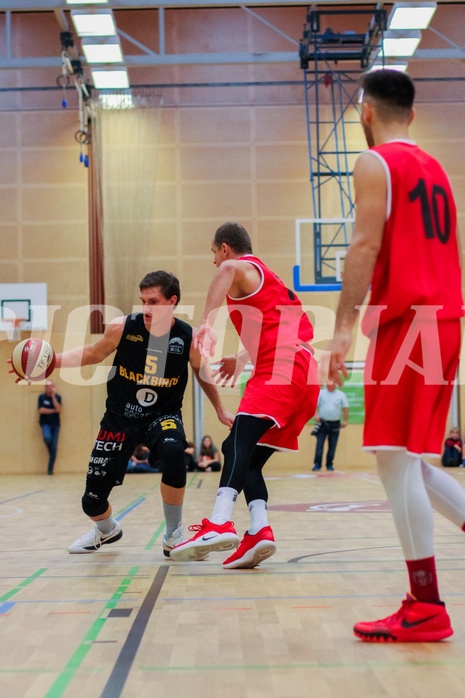Basketball 2.Bundesliga 2019/20, Grunddurchgang 6.Runde Mistelbach Mustangs vs. Jennersdorf Blackbirds


