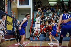 Basketball, Admiral Basketball Superliga 2019/20, Grunddurchgang 7.Runde, Traiskirchen Lions, DC Timberwolves, Shawn L. Ray (6)