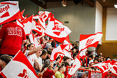 Basketball, win2day Basketball Superliga 2023/24, Viertelfinale Spiel 1, Traiskirchen Lions, SKN St.Pölten, Red Lions