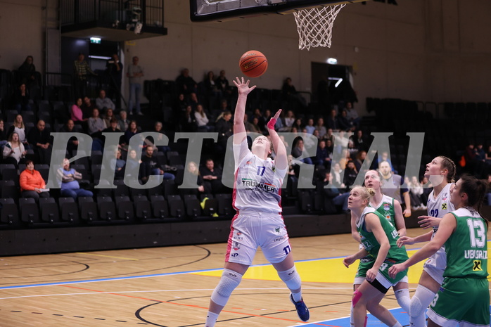 29.01.2023, Graz, Raiffeisen Sportpark, Basketball Damen Superliga 2022/23, Grunddurchgang 12.Runde, UBSC-DBBC Graz vs. UBI Graz,  