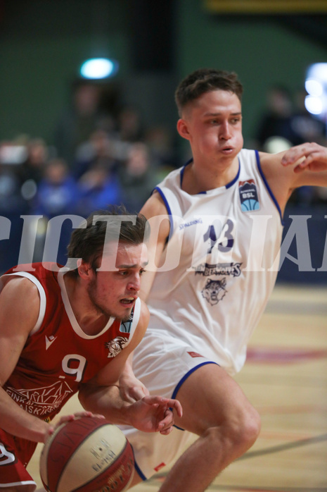 Basketball Basketball Superliga 2019/20, Grunddurchgang 16.Runde Runde D.C. Timberwolves vs. Traiskirchen Lions
