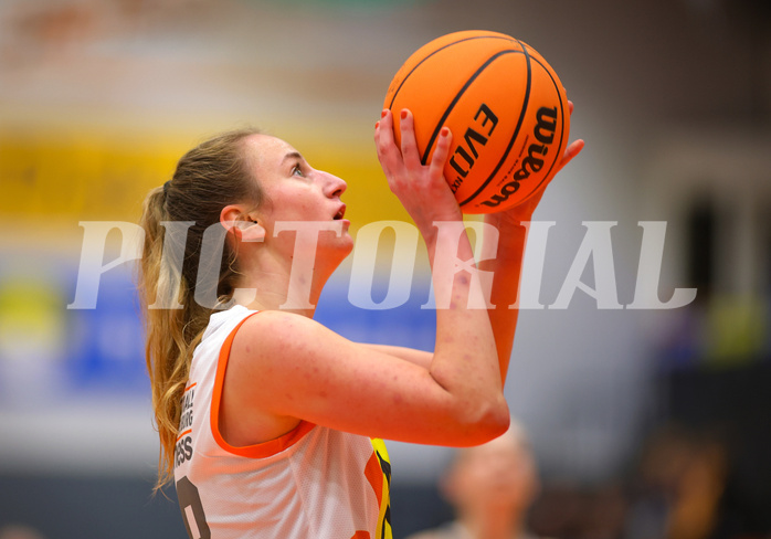 Basketball Damen Superliga 2023/24, Grunddurchgang Spiel 5 BK Duchess Klosterneuburg vs. Vienna United



