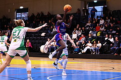26.11.2023, Graz, Raiffeisen Sportpark, Basketball Damen Superliga 2023/24, Grunddurchgang 5.Runde, UBSC-DBBC Graz - UBI Holding Graz,  