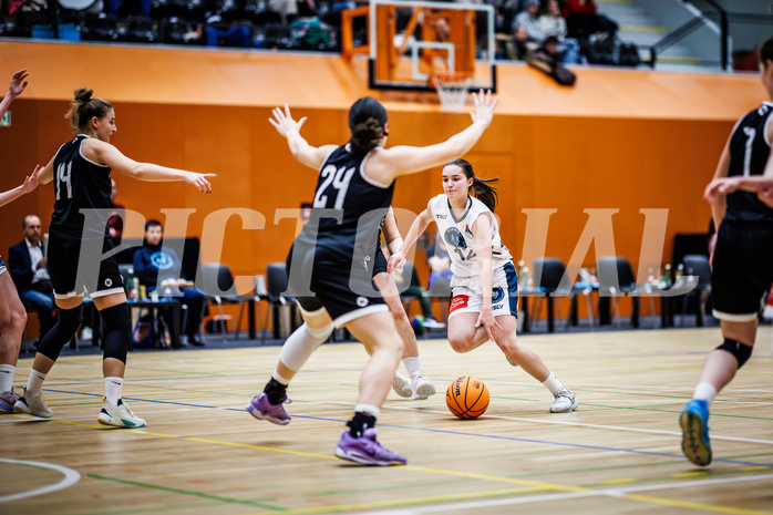 Basketball, Win2Day Basketball Damen Superliga 2023/24, Grunddurchgang 5.Runde, Vienna Timberwolves, Basket Flames, Lilian Schwarzenecker (12)