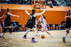 Basketball, Win2Day Basketball Damen Superliga 2023/24, Grunddurchgang 5.Runde, Vienna Timberwolves, Basket Flames, Lilian Schwarzenecker (12)