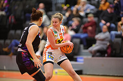 Basketball Damen Superliga 2023/24, Grunddurchgang Spiel 5 BK Duchess Klosterneuburg vs. Vienna United


