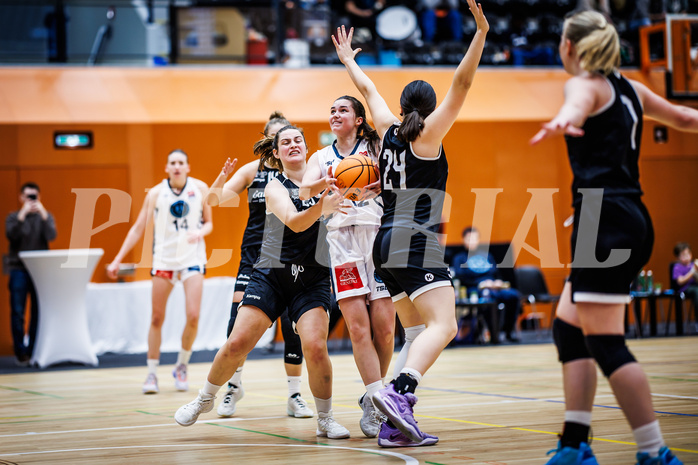 Basketball, Win2Day Basketball Damen Superliga 2023/24, Grunddurchgang 5.Runde, Vienna Timberwolves, Basket Flames, Lilian Schwarzenecker (12)