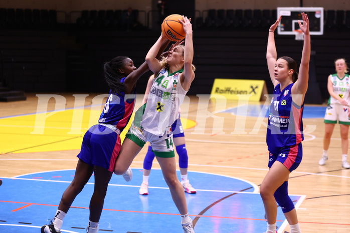 26.11.2023, Graz, Raiffeisen Sportpark, Basketball Damen Superliga 2023/24, Grunddurchgang 5.Runde, UBSC-DBBC Graz - UBI Holding Graz,  