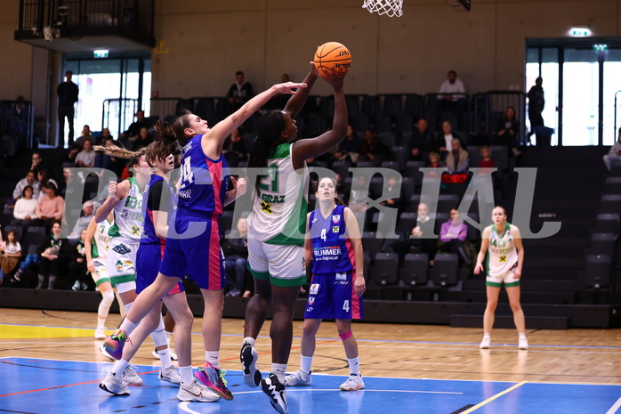 26.11.2023, Graz, Raiffeisen Sportpark, Basketball Damen Superliga 2023/24, Grunddurchgang 5.Runde, UBSC-DBBC Graz - UBI Holding Graz,  