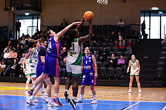 26.11.2023, Graz, Raiffeisen Sportpark, Basketball Damen Superliga 2023/24, Grunddurchgang 5.Runde, UBSC-DBBC Graz - UBI Holding Graz,  