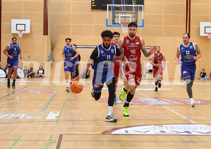 Basketball Zweite Liga 2024/25, Playoffs, Viertelfinale Spiel 1 Mistelbach Mustangs vs. Kufstein Towers


