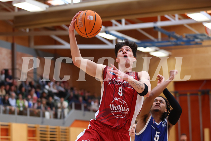 Basketball Zweite Liga 2024/25, Playoffs, Viertelfinale Spiel 1 Mistelbach Mustangs vs. Kufstein Towers


