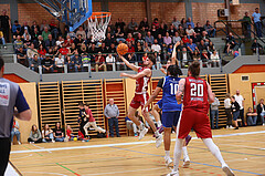 Basketball Zweite Liga 2024/25, Playoffs, Viertelfinale Spiel 1 Mistelbach Mustangs vs. Kufstein Towers


