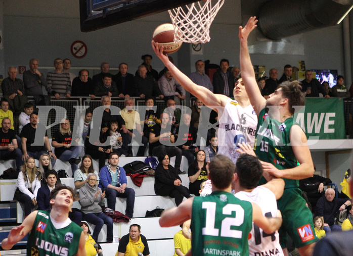 Basketball 2.Bundesliga 2019/20 Grunddurchgang 19.Runde  Güssing/Jennersdorff Blackbirds vs Dornbirn Lions