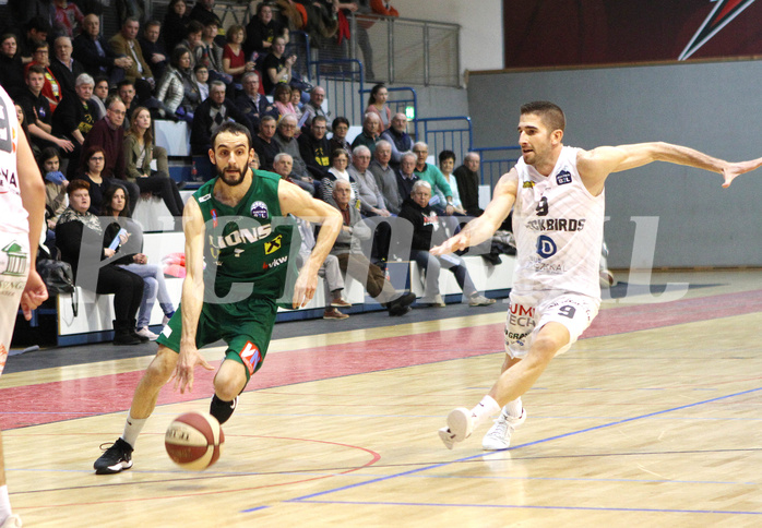 Basketball 2.Bundesliga 2019/20 Grunddurchgang 19.Runde  Güssing/Jennersdorff Blackbirds vs Dornbirn Lions