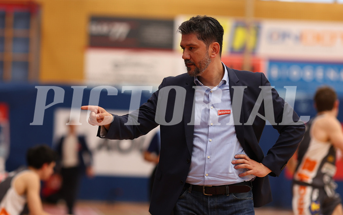 Basketball Superliga 2024/25, Playoffs, Viertelfinale Spiel 4 Traiskirchen Lions vs. Klosterneuburg Dukes



