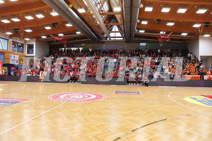 Basketball Superliga 2024/25, Playoffs, Viertelfinale Spiel 4 Traiskirchen Lions vs. Klosterneuburg Dukes


