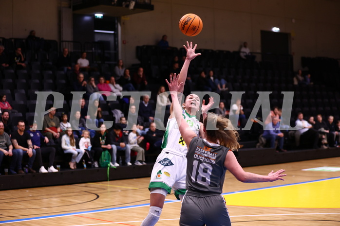 03.02.2024, Graz, Raiffeisen Sportpark, Basketball Damen Superliga 2023/24, Grunddurchgang 11.Runde, UBI Holding Graz - BK Raiffeisen Duchess Klosterneuburg ,  