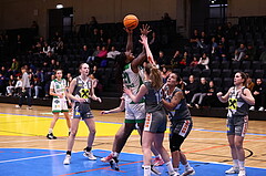 03.02.2024, Graz, Raiffeisen Sportpark, Basketball Damen Superliga 2023/24, Grunddurchgang 11.Runde, UBI Holding Graz - BK Raiffeisen Duchess Klosterneuburg ,  