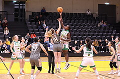 03.02.2024, Graz, Raiffeisen Sportpark, Basketball Damen Superliga 2023/24, Grunddurchgang 11.Runde, UBI Holding Graz - BK Raiffeisen Duchess Klosterneuburg ,  