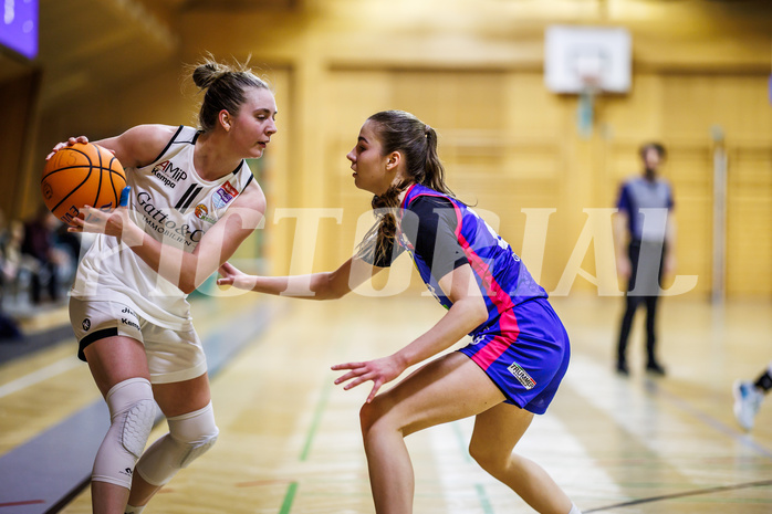 Basketball, Win2Day Basketball Damen Superliga 2024/25, Grunddurchgang 9.Runde, Basket Flames, UBSC-DBBC Graz, Anna Boruta (11), Christina Köppel (28)