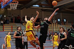 Basketball Zweite Liga 2024/25, Grunddurchgang 12.Runde Traiskirchen Lions NextGen vs. Deutsch Wagram Alligators


