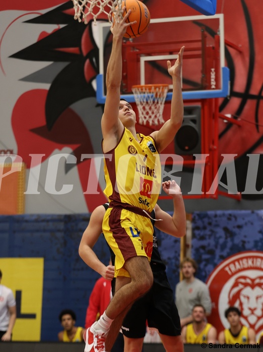 Basketball Zweite Liga 2024/25, Grunddurchgang 12.Runde Traiskirchen Lions NextGen vs. Deutsch Wagram Alligators


