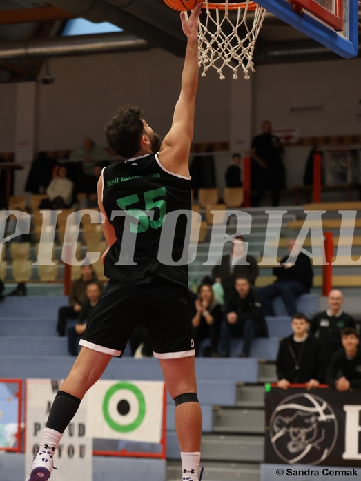 Basketball Zweite Liga 2024/25, Grunddurchgang 12.Runde Traiskirchen Lions NextGen vs. Deutsch Wagram Alligators


