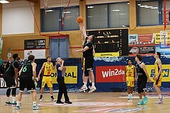 Basketball Zweite Liga 2024/25, Grunddurchgang 12.Runde Traiskirchen Lions NextGen vs. Deutsch Wagram Alligators


