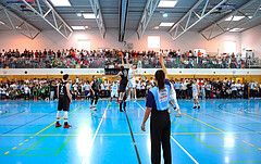 Basketball Zweite Liga 2023/24, Playoff, Finale Spiel 2 Union Deutsch Wagram Aligators vs. Mistelbach Mustangs


