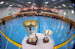Basketball Zweite Liga 2023/24, Playoff, Finale Spiel 2 Union Deutsch Wagram Aligators vs. Mistelbach Mustangs


