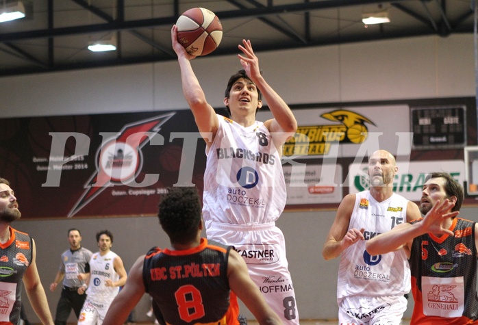 Basketball 2.Bundesliga 2018/19 Grunddurchgang 22.Runde  Jennersdorf Blackbirds vs UBC St. PöltenPölten