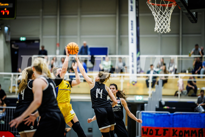 Basketball, Win2Day Basketball Damen Superliga 2023/24, Grunddurchgang 2.Runde, SKN St.Pölten, Basket Flames, Nina Krisper (11)