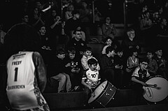 Basketball, Win2Day Superliga 2024/25, 2. Platzierungsrunde, Traiskirchen Lions, Oberwart Gunners, Zuschauer