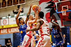 Basketball, Win2Day Superliga 2024/25, 2. Platzierungsrunde, Traiskirchen Lions, Oberwart Gunners, Robert Allen (10), Denis Krestinin (55)