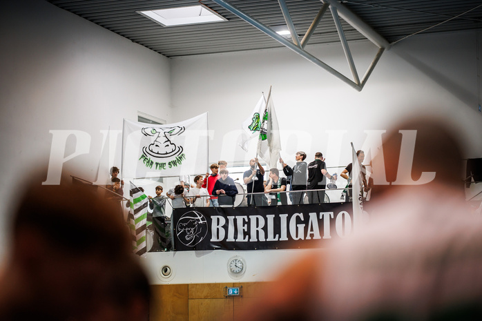 Basketball, Basketball Zweite Liga 2024/25, Viertelfinale Spiel 2, UDW Alligators, Kufstein Towers, Zuschauer, feature