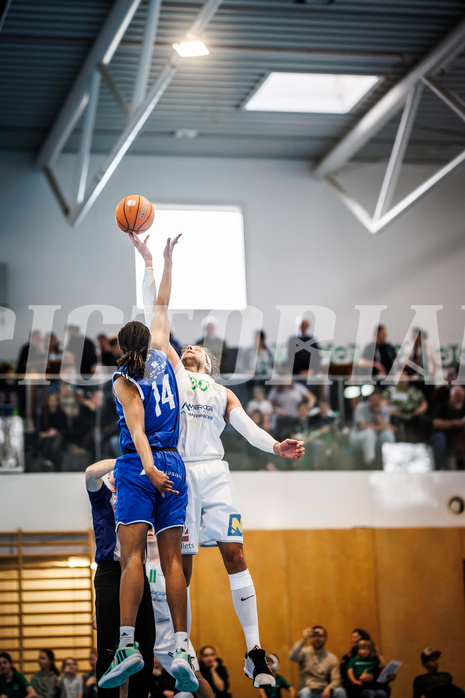 Basketball, Basketball Zweite Liga 2024/25, Viertelfinale Spiel 2, UDW Alligators, Kufstein Towers, Arthur Noba (14), Marko Kolaric (30)