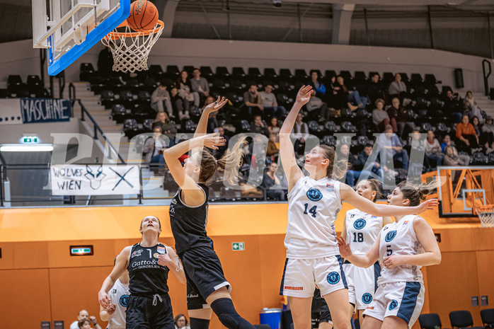 Basketball, Win2Day Basketball Damen Superliga 2022/23, Grunddurchgang 13.Runde, Vienna Timberwolves, Basket Flames, Lara Brunner (14)