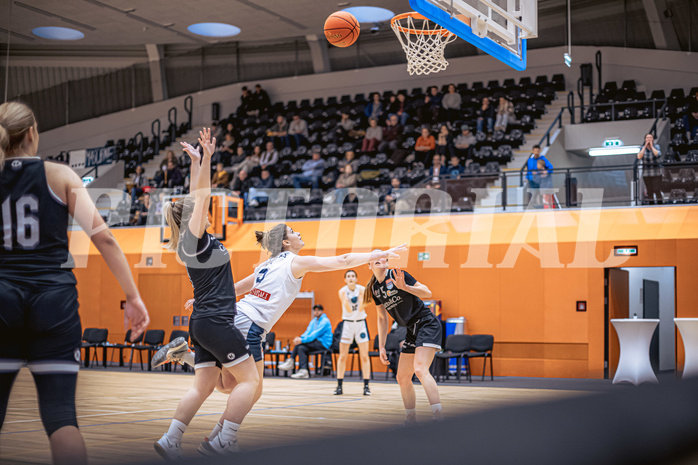 Basketball, Win2Day Basketball Damen Superliga 2022/23, Grunddurchgang 13.Runde, Vienna Timberwolves, Basket Flames, Valentina Mraulak (5)