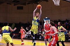 06.04.2025, Graz, Raiffeisen Sportpark Graz, Basketball Superliga 2024/25, 10. Platzierungsrunde, UBSC Graz - Traiskirchen Lions