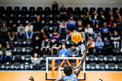 Basketball, Win2Day Superliga 2023/24, Grunddurchgang 13.Runde, Vienna Timberwolves, SKN St. Pölten, Ajiroghene Ogemuno-Johnson (10), Ziga Fifolt (13)