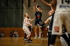 Basketball, Basketball Zweite Liga, Playoffs Viertelfinale 1. Spiel, Mattersburg Rocks, Mistelbach Mustangs, Felix Leindecker (8)