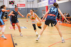 Basketball Damen Superliga 2023/24, Grunddurchgang 9.Runde BK Duchess Klosterneuburg vs. Vienna Timberwolves


