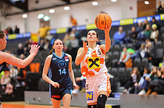 Basketball Damen Superliga 2023/24, Grunddurchgang 9.Runde BK Duchess Klosterneuburg vs. Vienna Timberwolves


