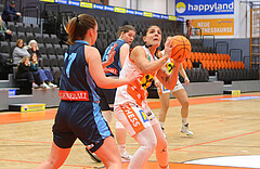 Basketball Damen Superliga 2023/24, Grunddurchgang 9.Runde BK Duchess Klosterneuburg vs. Vienna Timberwolves


