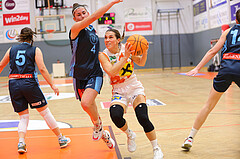 Basketball Damen Superliga 2023/24, Grunddurchgang 9.Runde BK Duchess Klosterneuburg vs. Vienna Timberwolves


