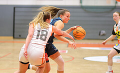 Basketball Damen Superliga 2023/24, Grunddurchgang 9.Runde BK Duchess Klosterneuburg vs. Vienna Timberwolves


