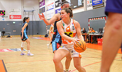 Basketball Damen Superliga 2023/24, Grunddurchgang 9.Runde BK Duchess Klosterneuburg vs. Vienna Timberwolves


